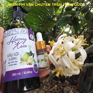 Dầu gội dưỡng Hương Xưa