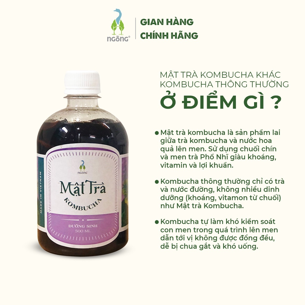 (MUA 3 TẶNG 1) Mật trà Kombucha Dưỡng sinh 500ml | BigBuy360 - bigbuy360.vn