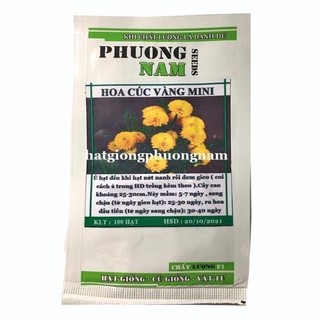 100H - HẠT GIỐNG HOA CÚC MINI VÀNG