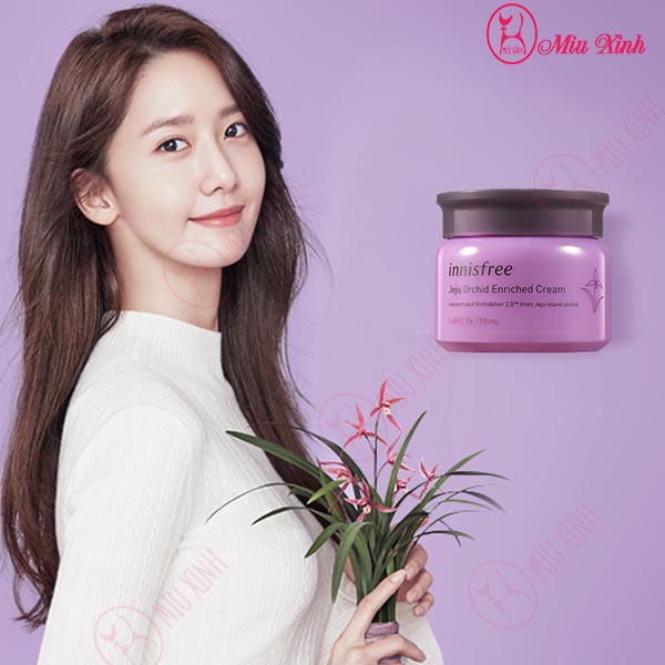 KEM DƯỠNG DA [INNISFREE] Jeju Orchid Enriched Cream (NEW)