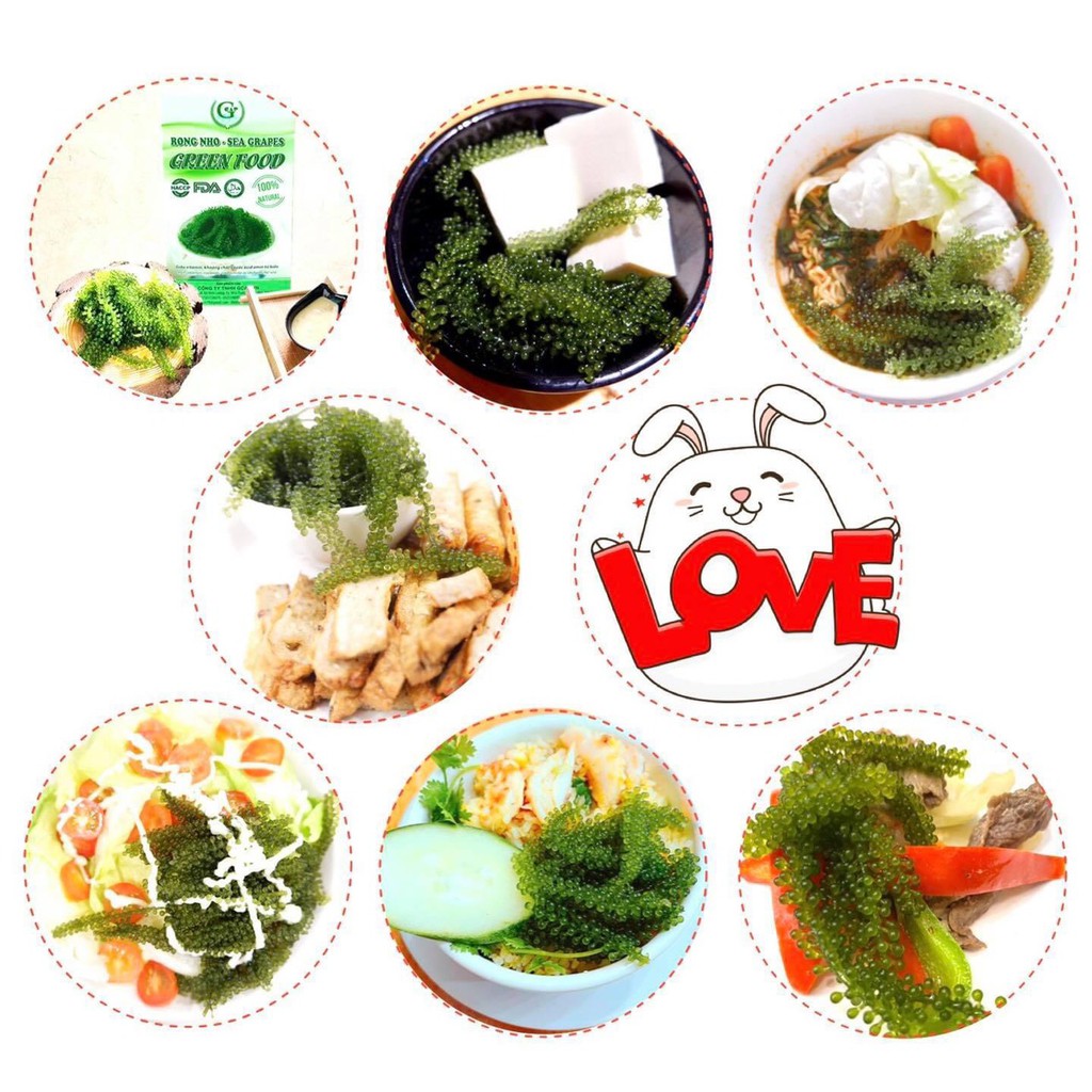 Rong nho GreenFood Nha Trang- Hàng chính hãng | BigBuy360 - bigbuy360.vn