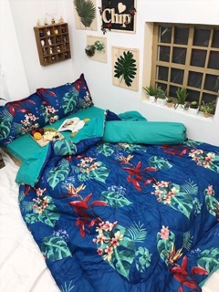 Combo Chăn phao Ga Gối nhập