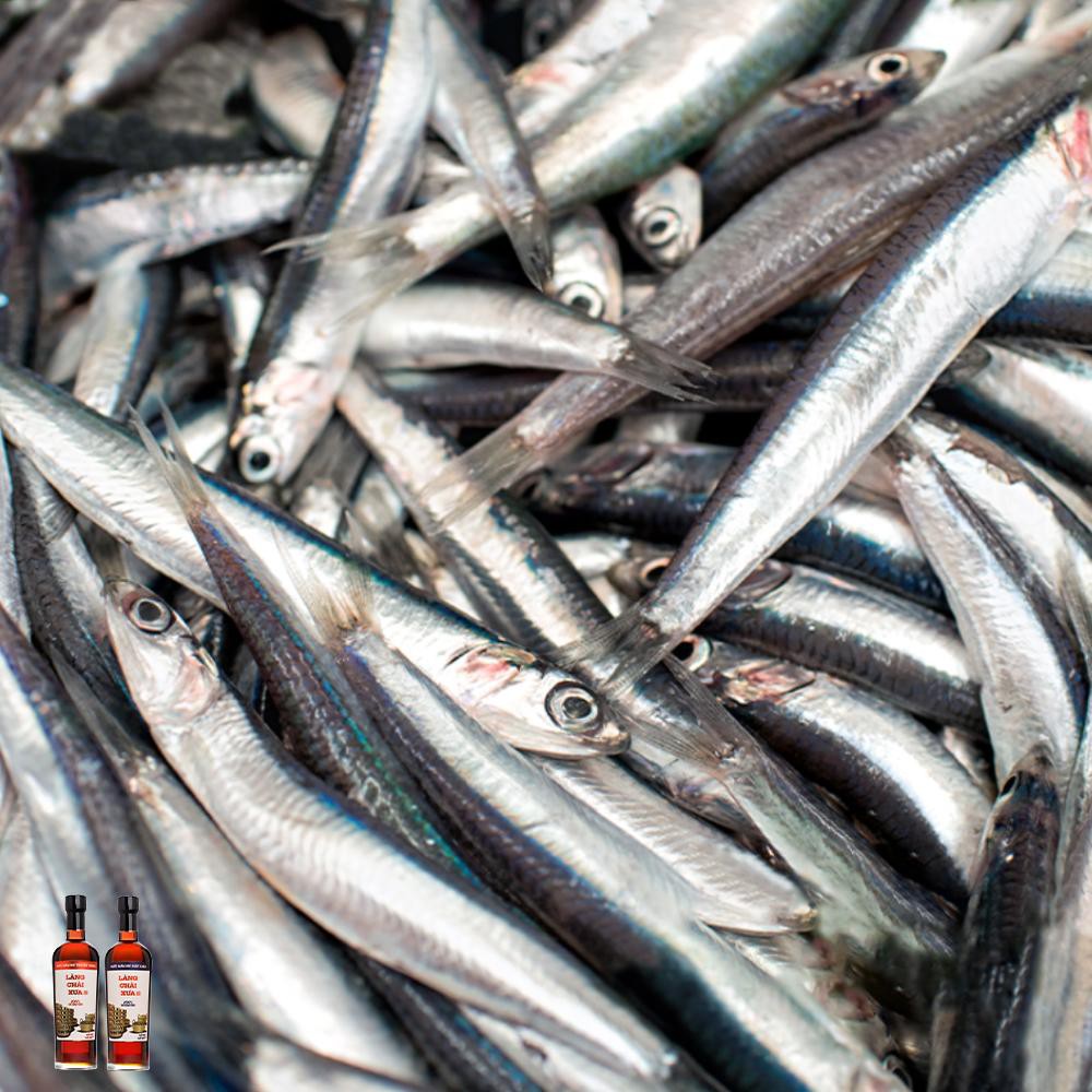 [ TRẺ LỚN HƠN 6 THÁNG ] Nước mắm tĩn trẻ em cho bé ăn dặm độ đạm 42N 60ML | BigBuy360 - bigbuy360.vn