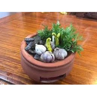 Niêu xông bồ kết kháng khuẩn