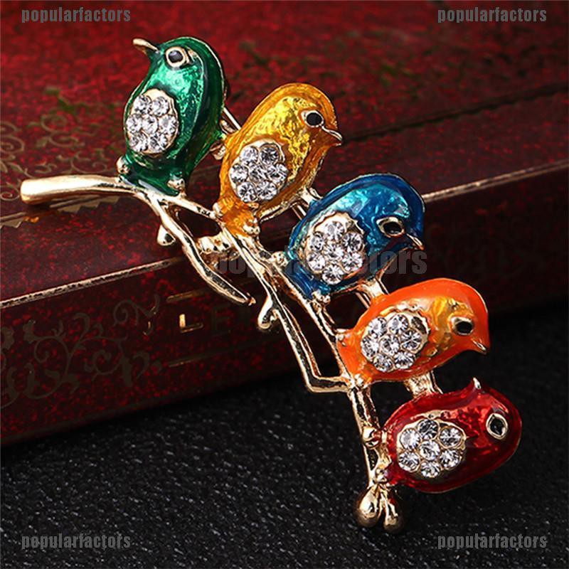 Ghim cài áo hình 5 chú chim dễ thương đính đá tráng men thích hợp làm quà tặng