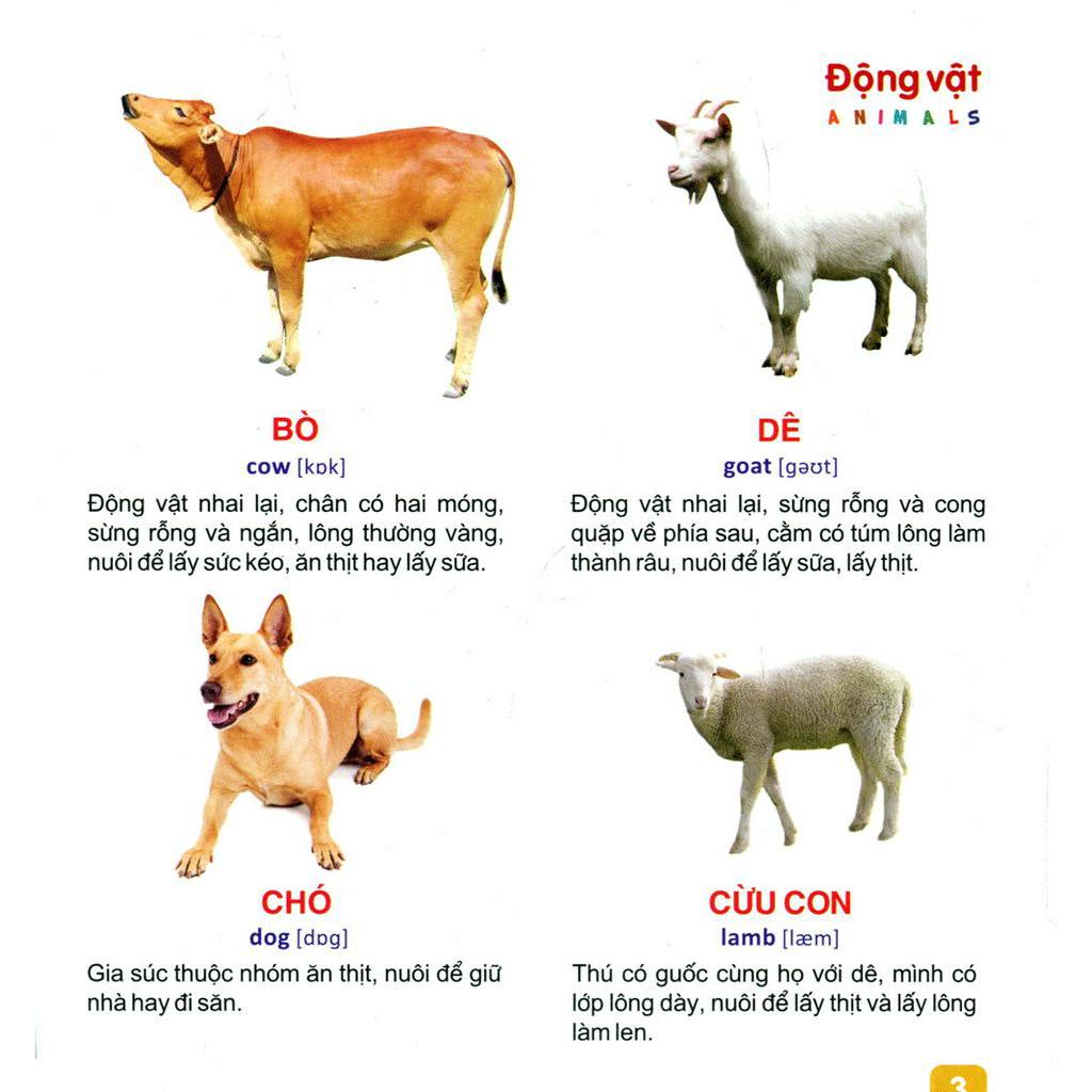 Sách Từ Điển Tranh Dành Cho Thiếu Nhi - Động Vật, Cá