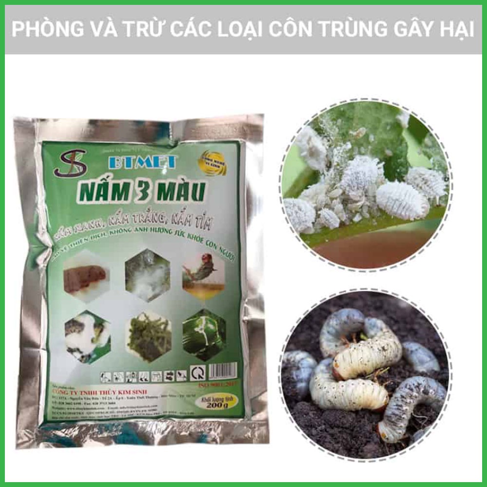 Nấm 3 Màu Thủy Kinh Sinh Gói 200 Gram