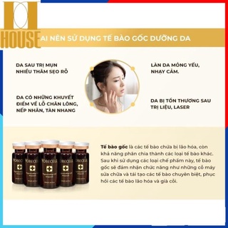 SET TINH CHẤT TẾ BÀO GỐC YOBECELL (5 CHAI)