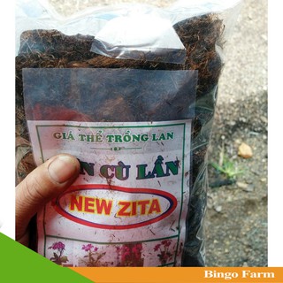 Dớn cù lần NewZita- Giá thể trồng lan