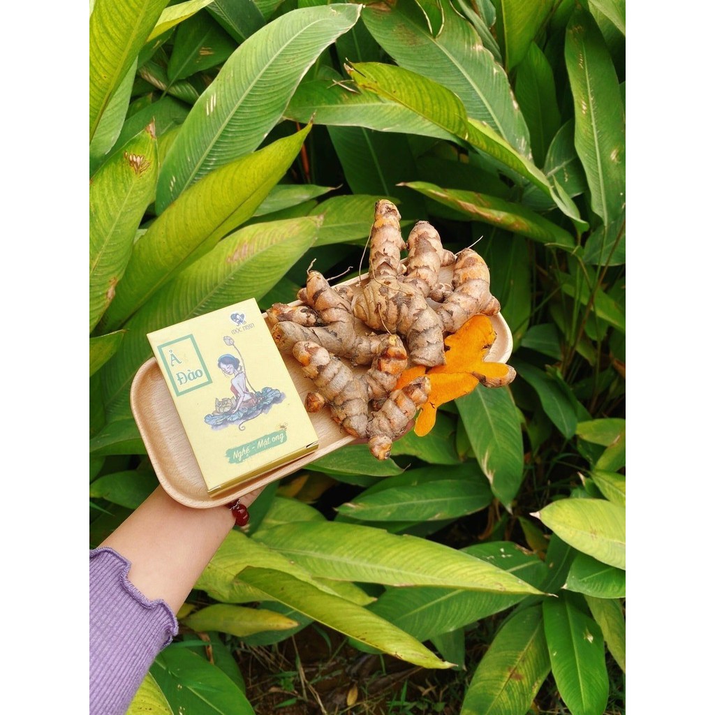 Tiemxuongrong - Handmade Xà Bông Nghệ - Mướp Đắng Mộc Nhan Hết Mụn, Sáng Da, Tiệm Xương Rồng | BigBuy360 - bigbuy360.vn