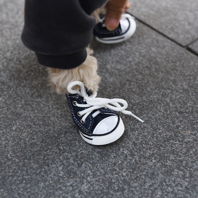 Giày cho thú cưng đế PVC chống trơn trượt kiểu dáng thể thao cá tính