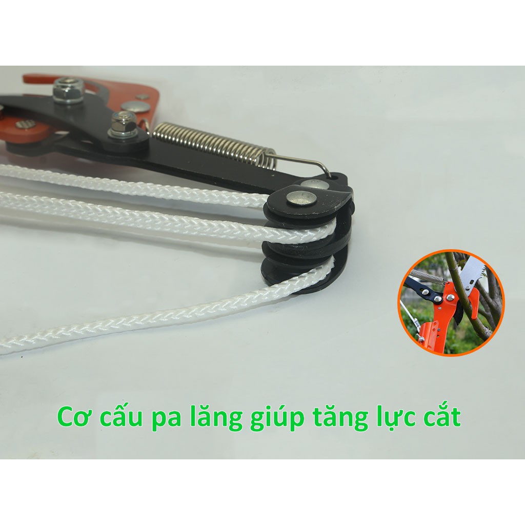 Đầu kéo cắt cành trên cao 3 bánh Senyue