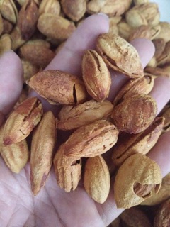 500gram Hạt Hạnh nhân cao cấp Kingnuts vỏ mỏng