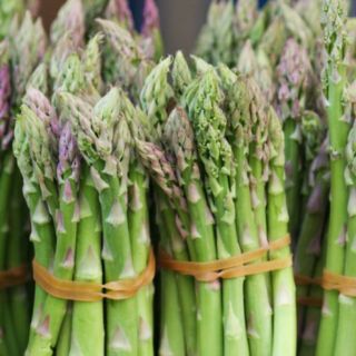 Hạt giống măng tây cao sản