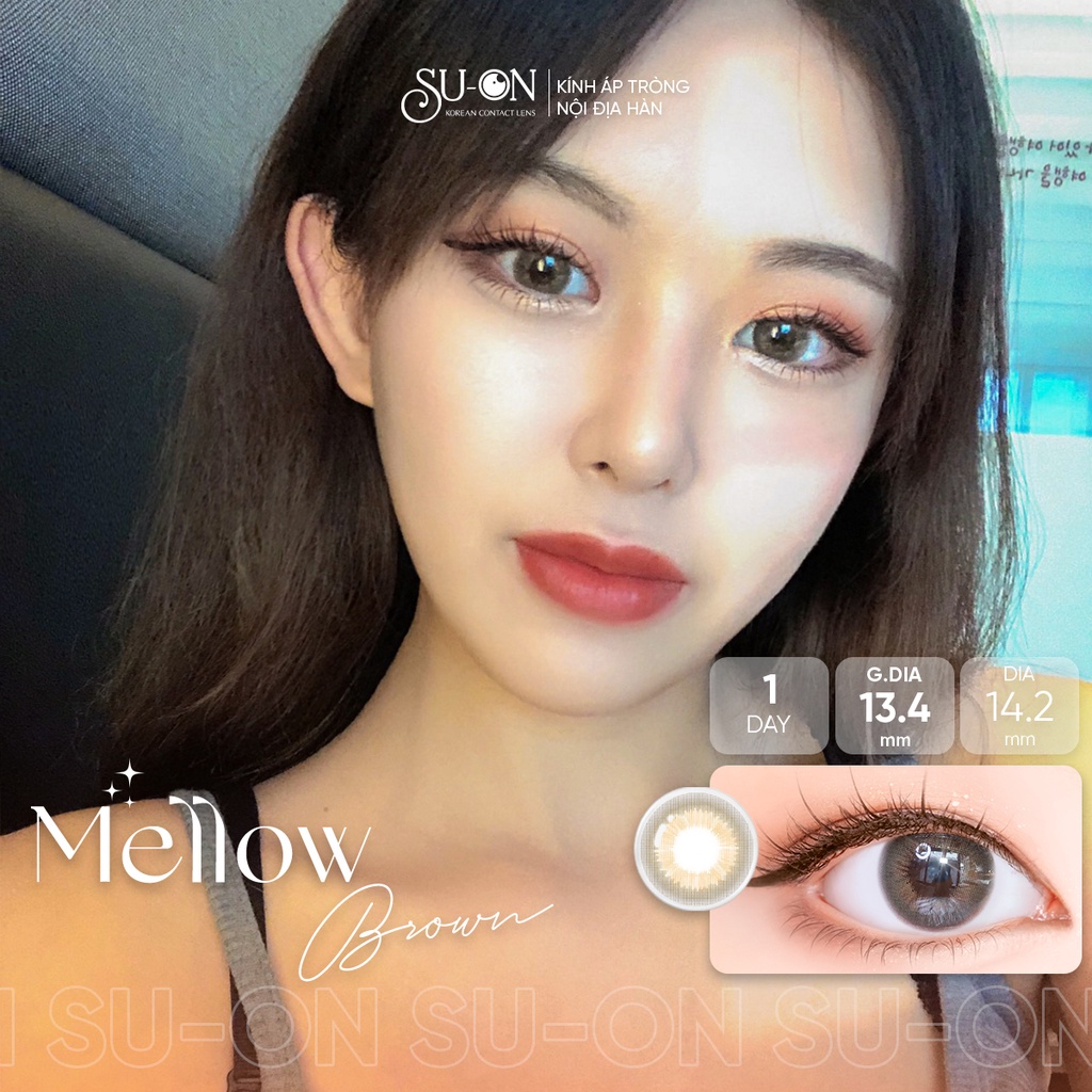 Lens 1 ngày Ann365 MELLOW BROWN áp tròng 14,2mm, nâu tây tự nhiên, siêu êm đeo 24h