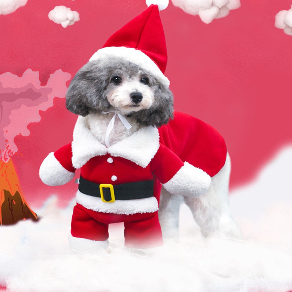 Trang phục hóa trang ông già noel cho thú cưng