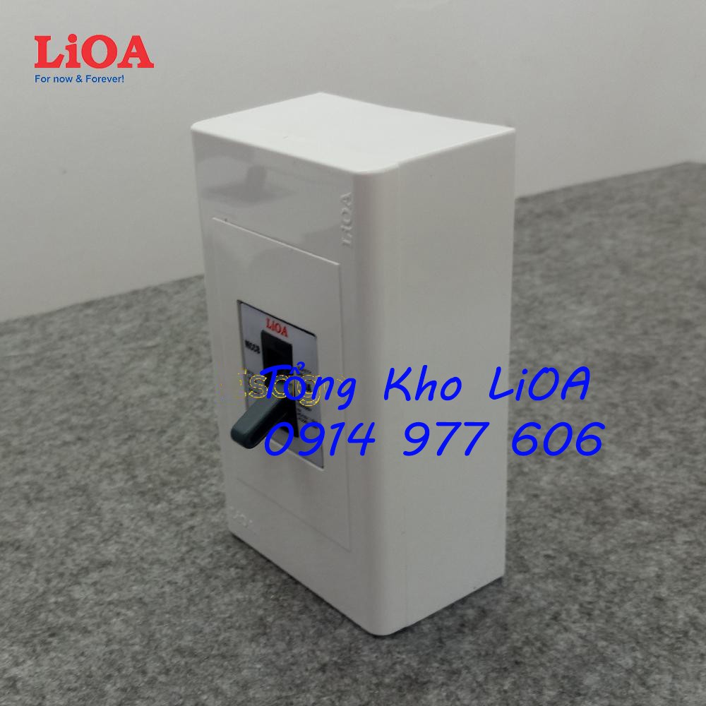 Combo cầu dao tự động an toàn APTOMAT LiOA loại 2 cực 2 tiếp điểm - Lắp nổi lớn