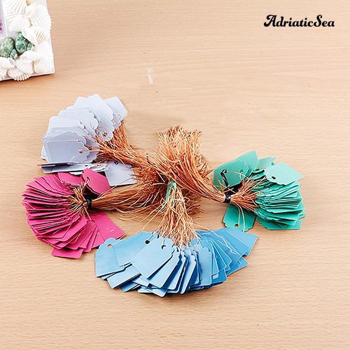Bộ 100 thẻ nhãn treo chậu cây bằng nhựa chống thấm nước tiện lợi