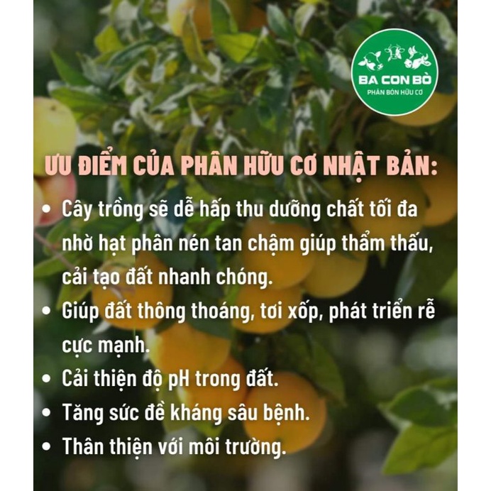 ( 1kg ) PHÂN GÀ NHẬT BẢN ĐÃ QUA XỬ LÝ - KO GÂY XÓT CÂY ( CTY 3 CON BÒ )