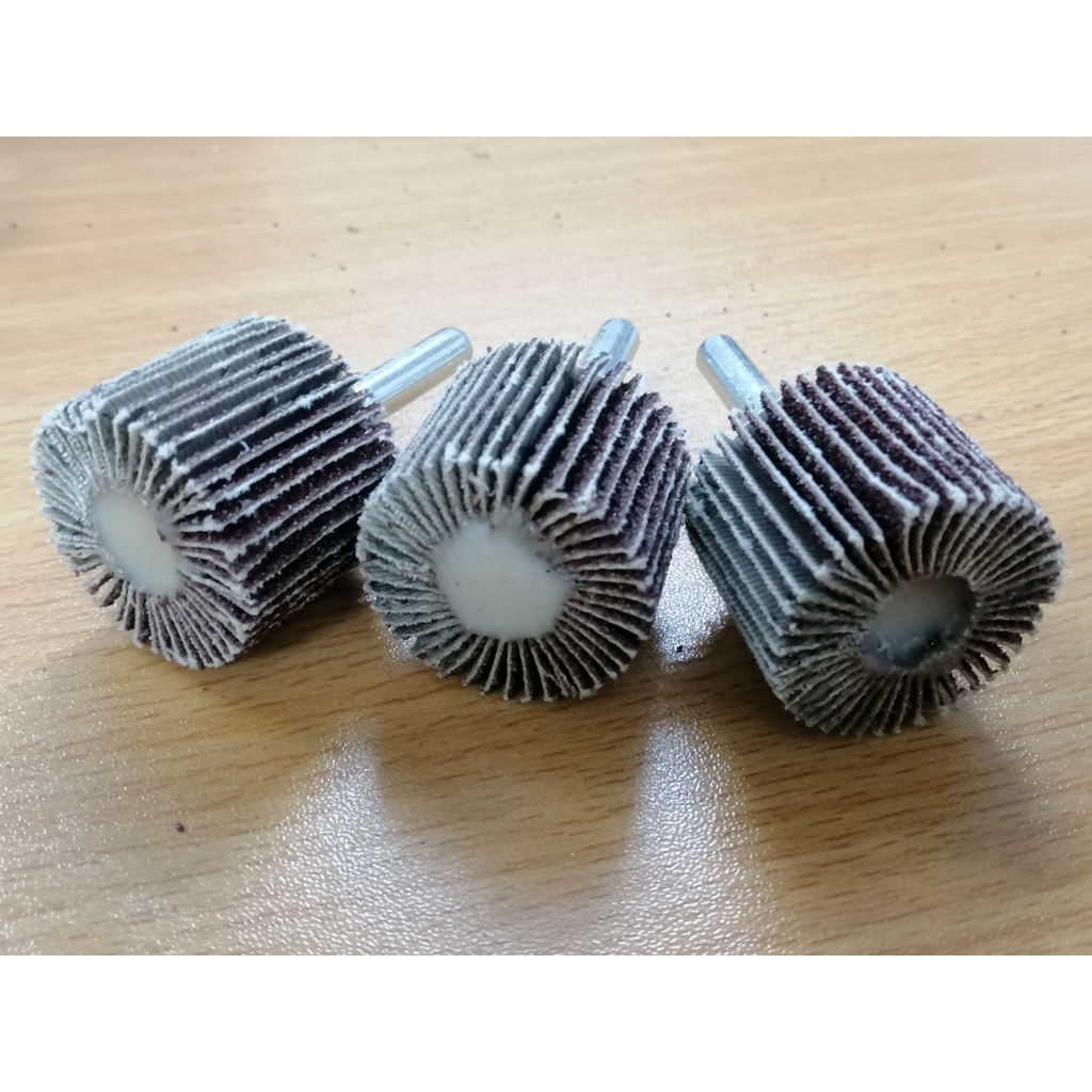 Nhám xếp trụ- nhám hình trụ