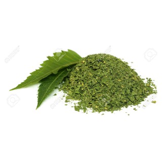 BỘT LÁ NEEM NGUYÊN CHẤT