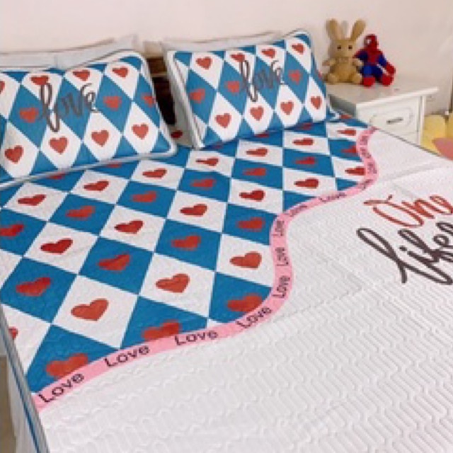 Chiếu bo chun cao su non 5D loại 1 thoáng mát ,dày dặn (tặng kèm 2 vỏ gối)