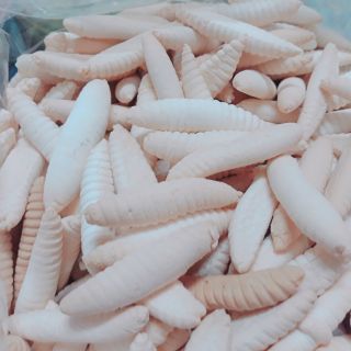 Bánh con sâu 500 GR 🐛🐛🐛