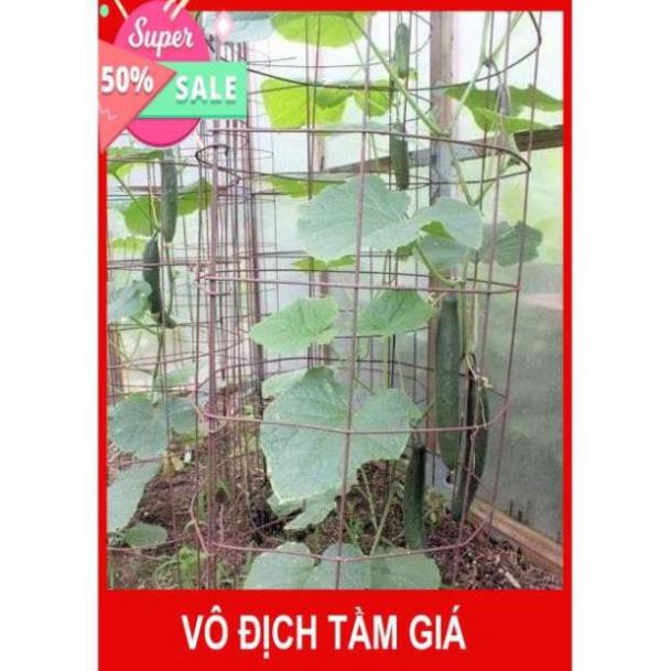 Hạt giống dưa chuột kiếm nhật🥒Đài Loan🥒 Dưa léo kiếm nhật dễ trồng sai quả(Nhập nguyên gói bao bì Đài Loan)