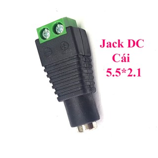 Jack DC nối nguồn Cái 5.5x2.1mm có đầu vặn vít domino