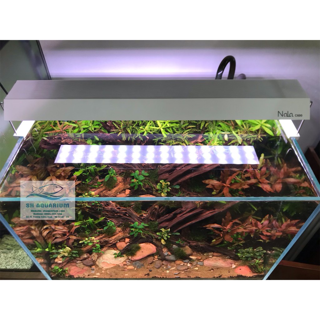 Đèn Nala Thế Hệ Mới C400, C600, C900