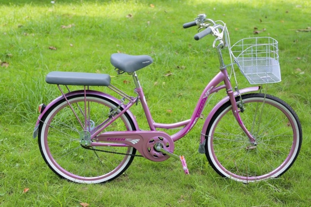 Xe đạp trẻ em Totem Sunny size 24 (nhap TRANXEDAP giảm 200k)
