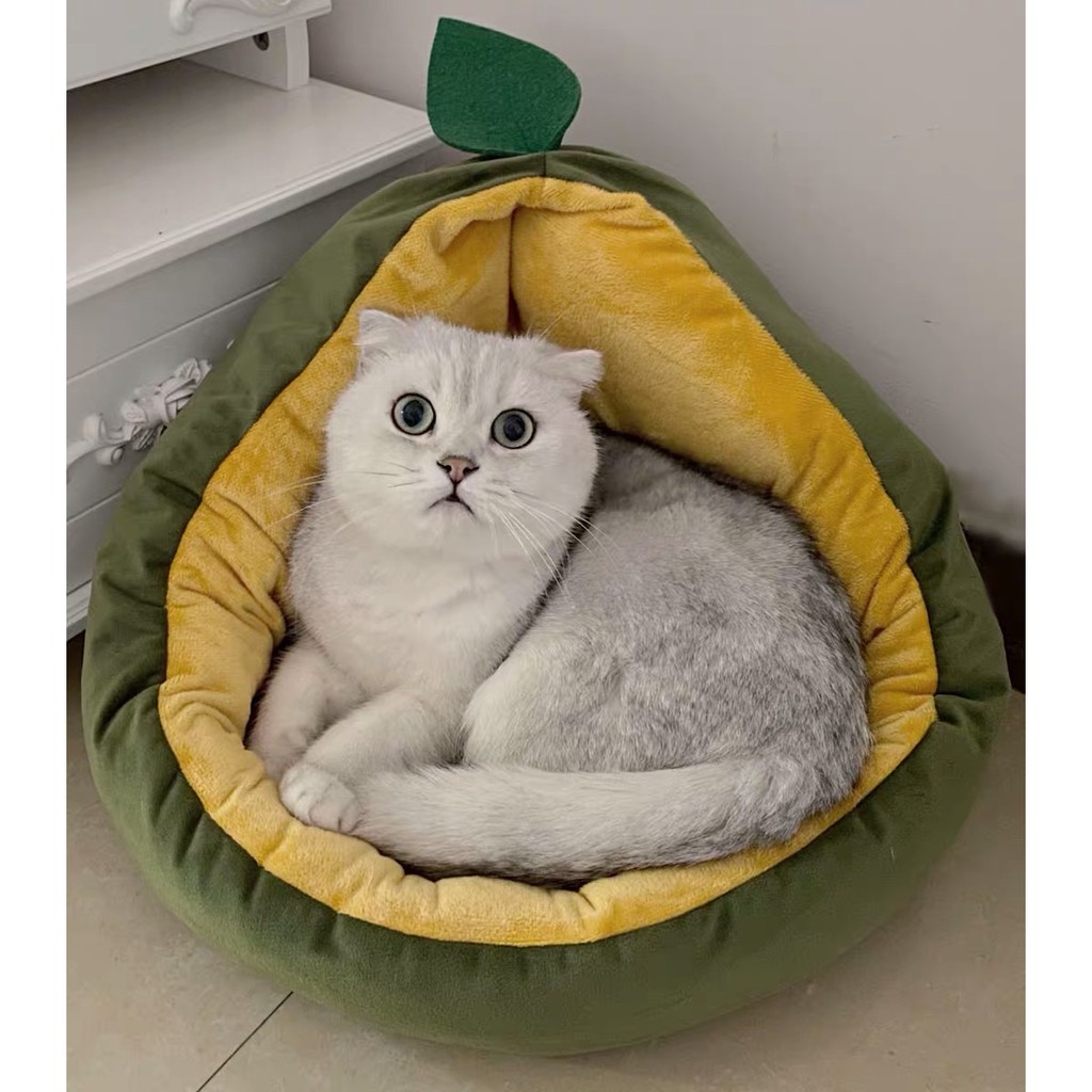 Tổ Thú Cưng Hình Quả Bơ - Pidan [CHÍNH HÃNG]