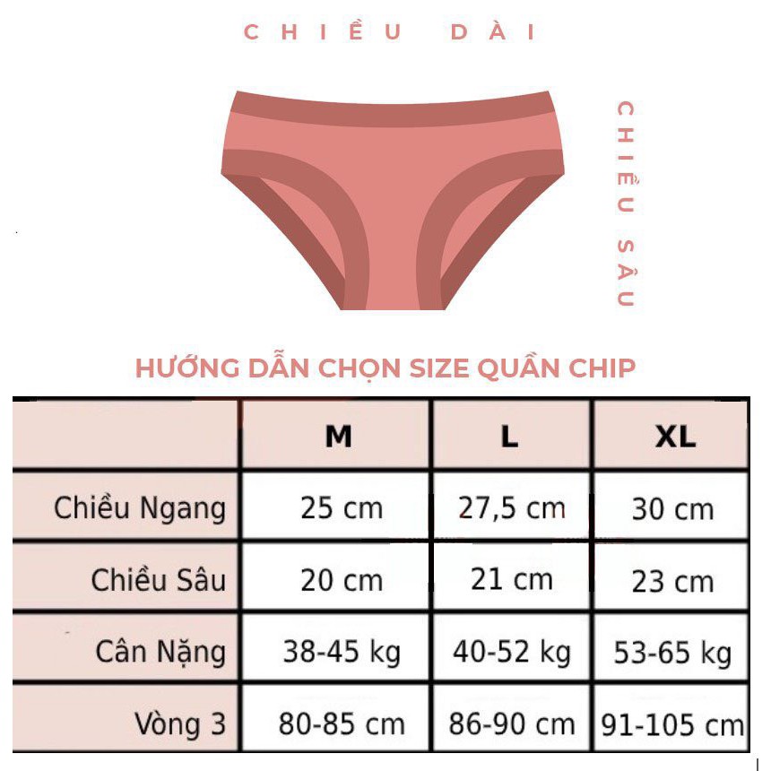 [Mã 12FASHIONSALE1 giảm 10K đơn 50K] Quần lót ren sọc lưng hàng quảng châu cao cấp MAIKA | WebRaoVat - webraovat.net.vn