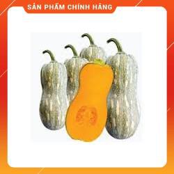 HẠT GIỐNG BÍ HẠT ĐẬU F1 GÓI 2 GRAM