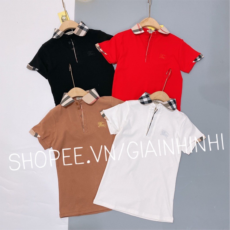 Áo thun cổ bẻ pha kẻ bbr ôm dáng, Áo phông ngắn tay vải cotton co giãn AS1201 - NhiNhi Shop