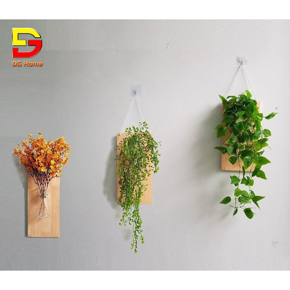 Kệ Gỗ Treo Tường Kèm Bình Thuỷ Tinh Cắm Hoa, Trồng Cây Thuỷ Sinh Độc Đáo Trang Trí Ban Công, Quán Cafe