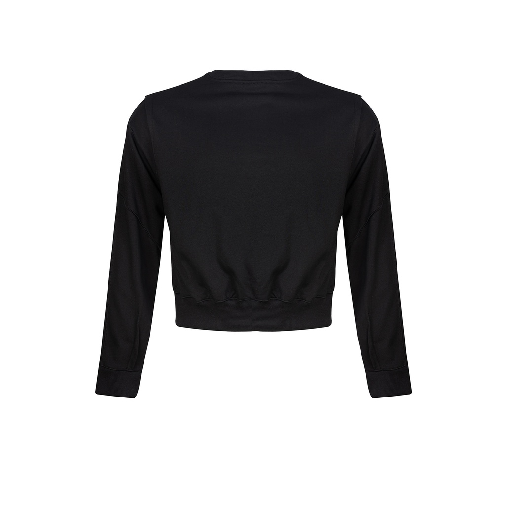 Áo nỉ nam tay dài phom ngắn in logo thương hiệu Aesir Studios 2 màu xám,đen - 405