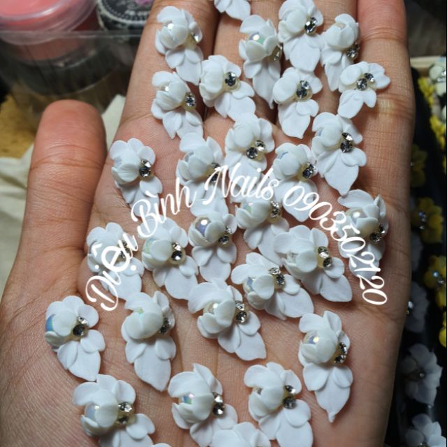 Hoa bột Nails