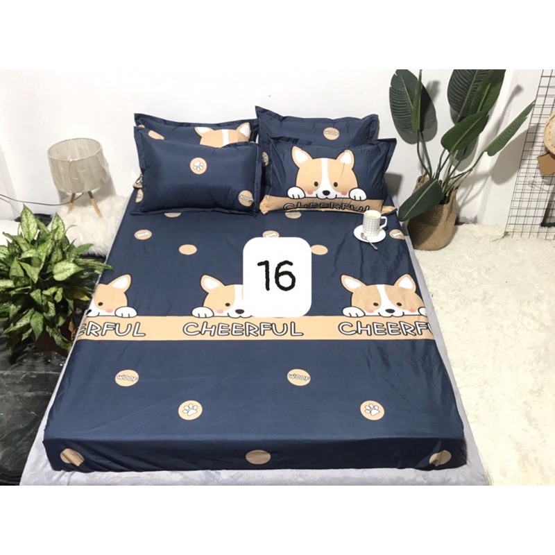 Ga Chống Thấm Cotton