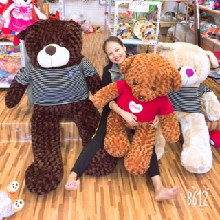 GẤU TEDDY 1M4 khổ vải RẺ HẾT HỒN ( khổ vải ảnh thật 100%, cao thật 1,2m) lẻ bằng sỉ