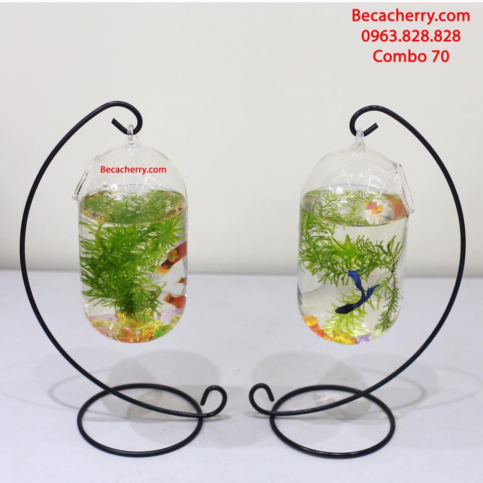 Combo 2 bể cá mini C33 ( Tặng kèm phụ kiện trang trí )
