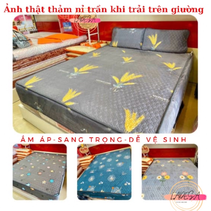 Ga gối nỉ nhung hoạ tiết trần nhập khẩu cao cấp ( bộ 3 món kèm vỏ gối) | BigBuy360 - bigbuy360.vn