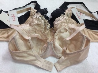 Áo Triumph Fashion 921 WHPD (19-575l)