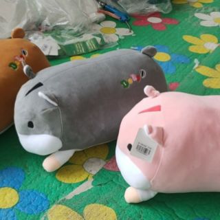 CHUỘT BÔNG HAMSTER