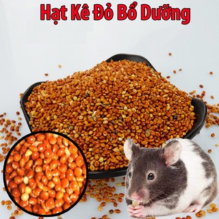 100g Hạt Kê Đỏ Giàu Dinh Dưỡng cho Thỏ-Bọ Ú