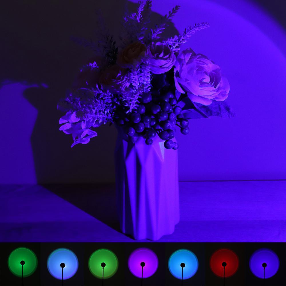 Đèn Zaijie 24 Ánh Sáng Cầu Vồng 7 Màu Dùng Trang Trí Nhà Cửa