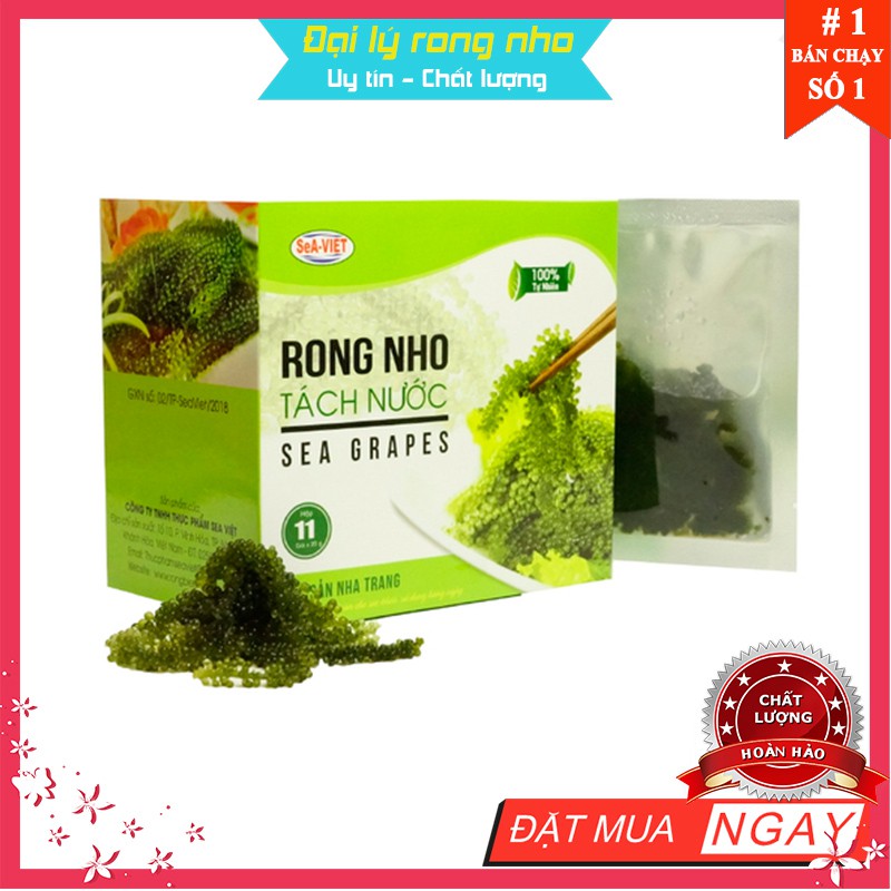 Rong nho 📛 𝑭𝑹𝑬𝑬𝑺𝑯𝑰𝑷 📛 rông nho, hộp 220g/11 gói nhỏ  Sea Việt, chế biến rong nho biển tươi ăn ngon và bảo quản rong nho | BigBuy360 - bigbuy360.vn