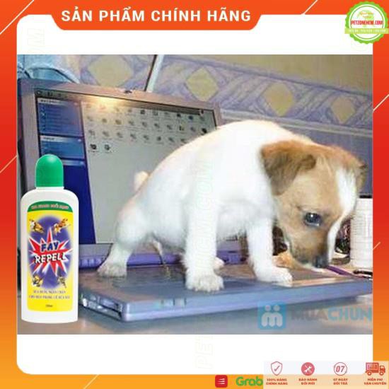 DUNG DỊCH XUA ĐUỔI CHÓ | MÈO | CHUỘT - PHÓNG UẾ | CẮN PHÁ🍀FREESHIP 70K 🛒 FAY REPELL 200ml | 400ml