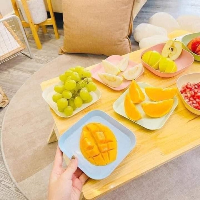 ĐĨA NHỰA LÚA MẠCH ZÁ XẢ KHO CỰC SỐC 💯💯