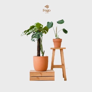 Chậu đất nung trồng cây size lớn 25cm, 17cm để ngoài trời, ban công, trang trí bàn làm việc FEGO